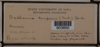 Image Associated With the Occurence